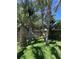 Shaded backyard featuring a hammock strung between palm trees on a grassy lawn at 4606 Doris Dr, New Smyrna Beach, FL 32169