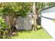 Backyard storage shed providing practical space, complemented by tropical greenery and palm trees at 4606 Doris Dr, New Smyrna Beach, FL 32169
