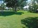 A lush green lawn dotted with trees, creating a peaceful and shaded outdoor space at 714 Fox Tail Ct, New Smyrna Beach, FL 32168
