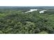 An aerial perspective capturing a property nestled among the trees with a lake off in the distance at 2536 Paige Ave, New Smyrna Beach, FL 32168