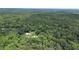 Expansive aerial view of a property with residence and pool nestled in a vast, verdant forest setting at 2536 Paige Ave, New Smyrna Beach, FL 32168