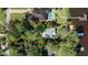 Aerial view of a waterfront property with mature trees, a red boundary line, and private dock at 1949 Bayview Dr, New Smyrna Beach, FL 32168