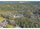 An aerial shot of a house with a pool, situated amongst the trees and greenery at 1371 Melonie Trl, New Smyrna Beach, FL 32168