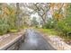 Long driveway leading to a house nestled amongst lush trees at 1371 Melonie Trl, New Smyrna Beach, FL 32168