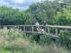 Couple and dog enjoy a stroll on a nature boardwalk at 5300 S Atlantic Ave # 7-502, New Smyrna Beach, FL 32169