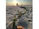 Beautiful sandy beach with vine and flower as the sun rises over the ocean horizon at 3325 Pintello Ave, New Smyrna Beach, FL 32168