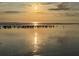 Beautiful beach landscape shows birds resting with sunlight at 3325 Pintello Ave, New Smyrna Beach, FL 32168