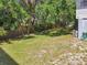 A spacious backyard features green grass and mature trees, perfect for outdoor activities and relaxation at 824 Garfish Ave, New Smyrna Beach, FL 32169
