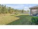 Expansive backyard with lush green grass, mature trees, and a screened-in patio, perfect for outdoor enjoyment at 270 Eagle Harbor Way, Daytona Beach, FL 32124