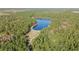 Beautiful aerial view of a serene lake surrounded by lush, green forests at 270 Eagle Harbor Way, Daytona Beach, FL 32124