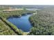 Expansive aerial view showcasing lake surrounded by dense, green forests in the distance at 270 Eagle Harbor Way, Daytona Beach, FL 32124