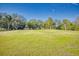 Large grassy front yard with mature trees and landscaping at 977 Bay Dr, New Smyrna Beach, FL 32168