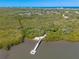 Captivating aerial view featuring a private dock extending into the serene waters surrounded by nature at 731 Laurel Bay Cir, New Smyrna Beach, FL 32169