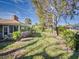 View of backyard, showcasing a large tree and green lawn at 103 Sea St, New Smyrna Beach, FL 32168