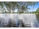 Tranquil lakefront view with houses in the background at 137 Grey Widgeon Ct, Daytona Beach, FL 32119