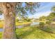 Peaceful backyard oasis with pond view, lush landscaping, and mature trees at 1846 Turnbull Lakes Dr, New Smyrna Beach, FL 32168