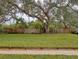 Large backyard with a lush lawn and mature trees at 4514 Saxon Dr, New Smyrna Beach, FL 32169