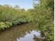 Peaceful view of a canal surrounded by mangrove trees at 4514 Saxon Dr, New Smyrna Beach, FL 32169