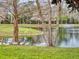 Serene pond view with lush trees and white ibis birds at 526 Mount Olympus Blvd, New Smyrna Beach, FL 32168