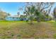 Large backyard with grassy area and mature palm tree at 211 Maurice Ave, New Smyrna Beach, FL 32168