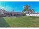 Large backyard with lush grass and palm tree at 2507 Milton Ave, New Smyrna Beach, FL 32168