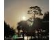 Peaceful nighttime view of the neighborhood with lush trees and calm waters at 2817 Bay Side Dr, New Smyrna Beach, FL 32168