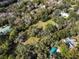 Aerial view of a secluded property with lush trees and multiple buildings at 384 W Ariel Rd, Edgewater, FL 32141