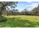 Expansive grassy lot surrounded by lush trees at 384 W Ariel Rd, Edgewater, FL 32141