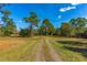 Gravel driveway through a grassy field with trees at 4045 Jason St, New Smyrna Beach, FL 32168