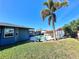 Backyard pool area with palm tree and lounge chairs at 1424 Breaks Way, Port Orange, FL 32127