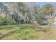 Spacious backyard with lush grass and mature trees at 1506 Palmetto St, New Smyrna Beach, FL 32168