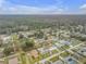 Aerial view of a residential area showing houses, yards, and trees at 3039 Tamarind Dr, Edgewater, FL 32141