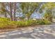 Street view of the house amongst mature trees at 3120 Pine Tree Dr, Edgewater, FL 32141