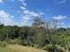 Scenic view of lush greenery and blue skies at 5300 S Atlantic Ave # 5-206, New Smyrna Beach, FL 32169