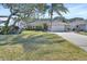 Landscaped front yard with driveway and palm tree at 809 E 7Th Ave, New Smyrna Beach, FL 32169