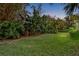 Landscaped backyard with lush tropical plants and grass at 817 Hail Ct, Port Orange, FL 32127