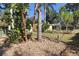 Landscaped front yard with tropical plants at 1975 Lake Dr, New Smyrna Beach, FL 32168