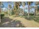 Spacious backyard with shed and lush tropical foliage at 2515 Fairfax Ave, New Smyrna Beach, FL 32168