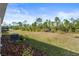 Backyard with spacious grass and trees at 3257 Carpentaria Dr, New Smyrna Beach, FL 32168