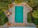 Aerial view of a rectangular pool surrounded by a stone patio and lush landscaping at 4611 Doris Dr, New Smyrna Beach, FL 32169