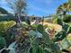 Landscaped backyard with prickly pear cactus and a fence at 4650 Saxon Dr, New Smyrna Beach, FL 32169