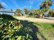 Landscaped front yard with a gravel driveway and tropical plants at 4650 Saxon Dr, New Smyrna Beach, FL 32169