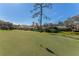 Golf course with homes in background at 507 Boxwood Ln, New Smyrna Beach, FL 32168