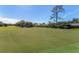 Expansive green golf course view at 507 Boxwood Ln, New Smyrna Beach, FL 32168