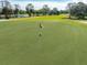 Golf course putting green at 507 Boxwood Ln, New Smyrna Beach, FL 32168