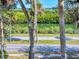 Scenic water view of a canal with lush greenery and palm trees providing a serene outdoor ambiance at 634 N Riverside Dr, New Smyrna Beach, FL 32168