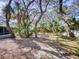 Expansive backyard featuring mature trees, lush greenery, and plenty of natural shade at 808 E 19Th Ave, New Smyrna Beach, FL 32169