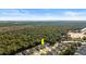 Aerial view of the home backing up to natural foliage, offering great privacy at 3029 Adrian Dr, Ormond Beach, FL 32174