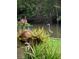 Scenic backyard view of foliage and a great blue heron in a local waterway at 4426 Saxon Dr, New Smyrna Beach, FL 32169