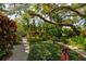 Lush backyard featuring an open patio, manicured lawn, and vibrant tropical foliage at 4426 Saxon Dr, New Smyrna Beach, FL 32169
